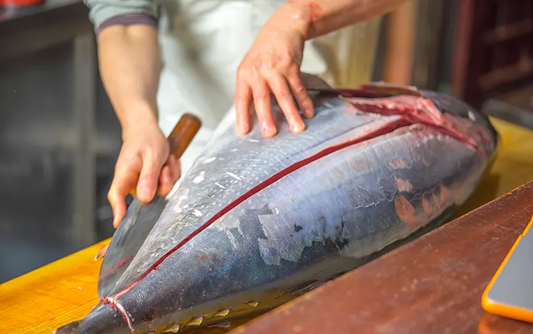 Maguro/Tuna Cutting