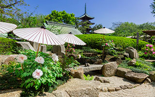 上野東照宮ぼたん苑