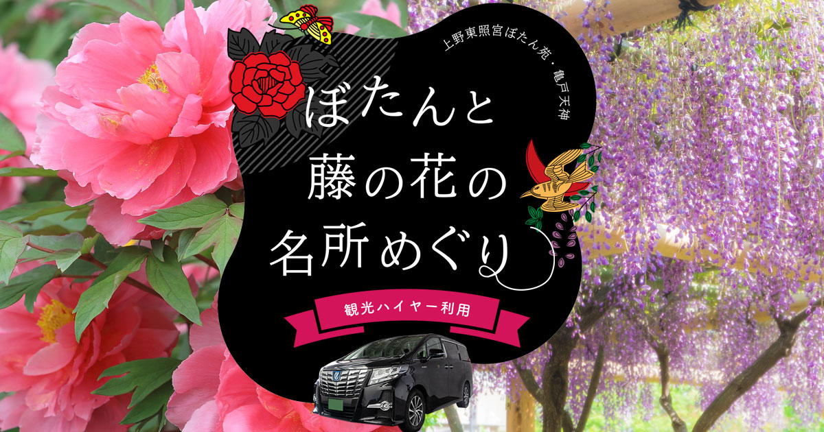 牡丹様♡ ♥牡丹様♥