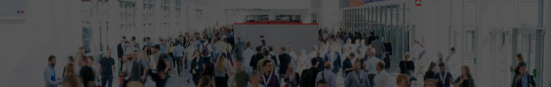 MICE & CRUISEのハンドリング