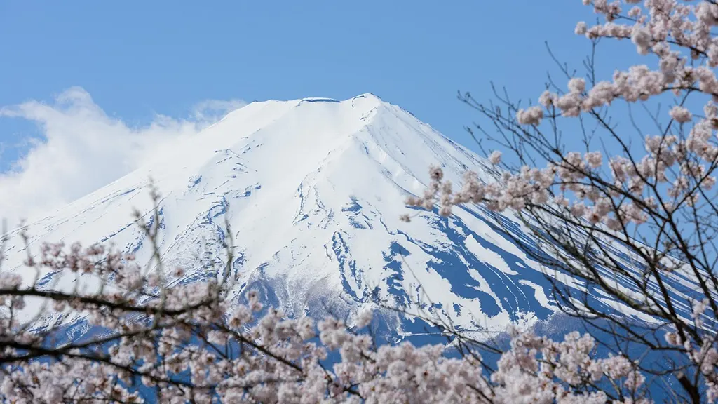 Close-up of the snow-covered peak of Mt. Fuji