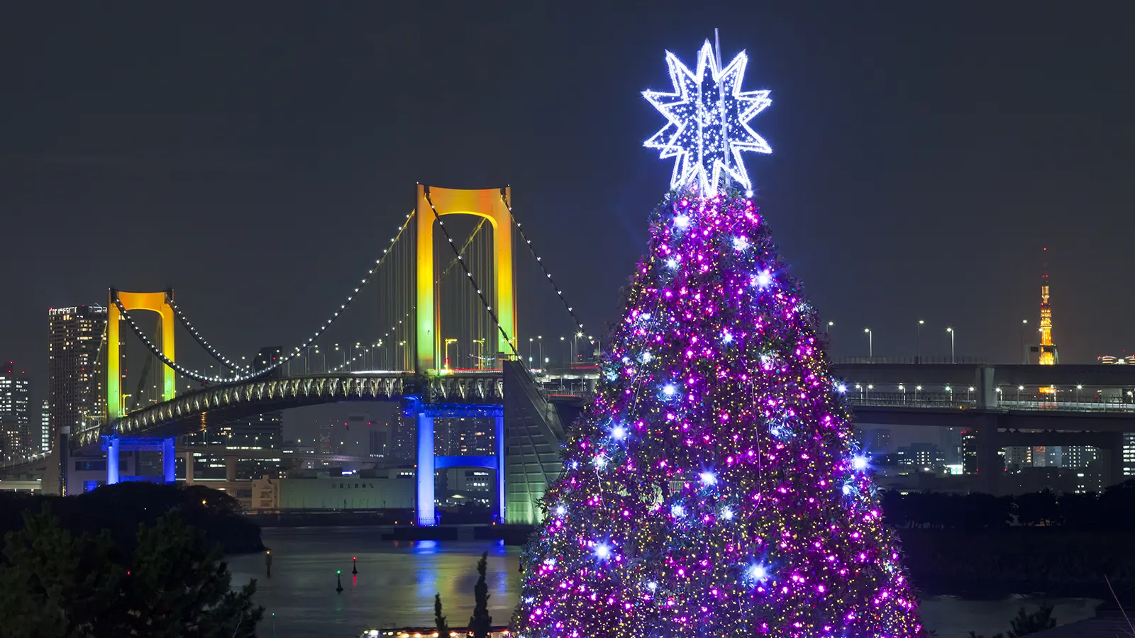 お台場のクリスマスツリーレインボーブリッジのライトアップ