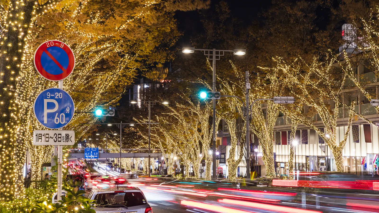 Tokyo Illumination tour with Planner as driver guide