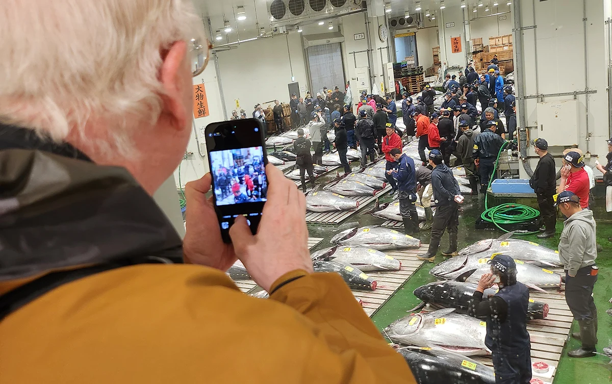 Viewing the tuna auction from the mezzanine level at Toyosu Fish Market