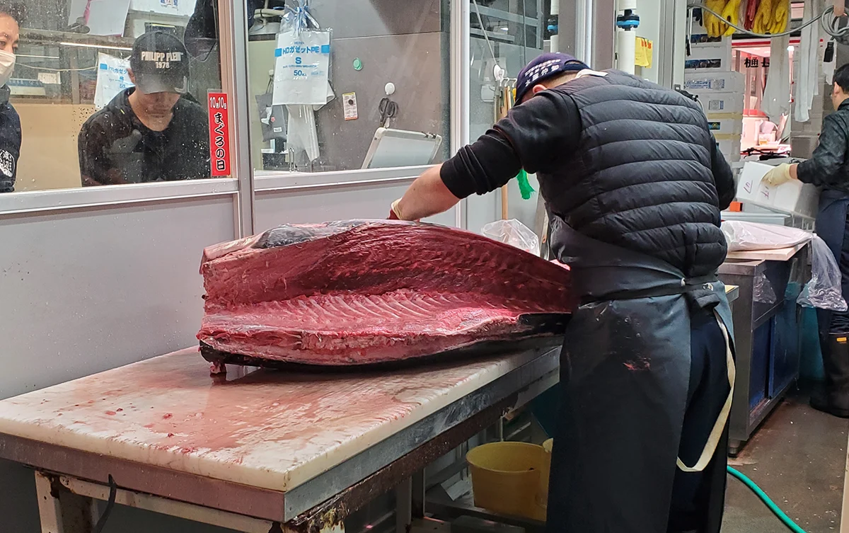 Visiting a tuna wholesaler to see how fish is prepared for restaurant use