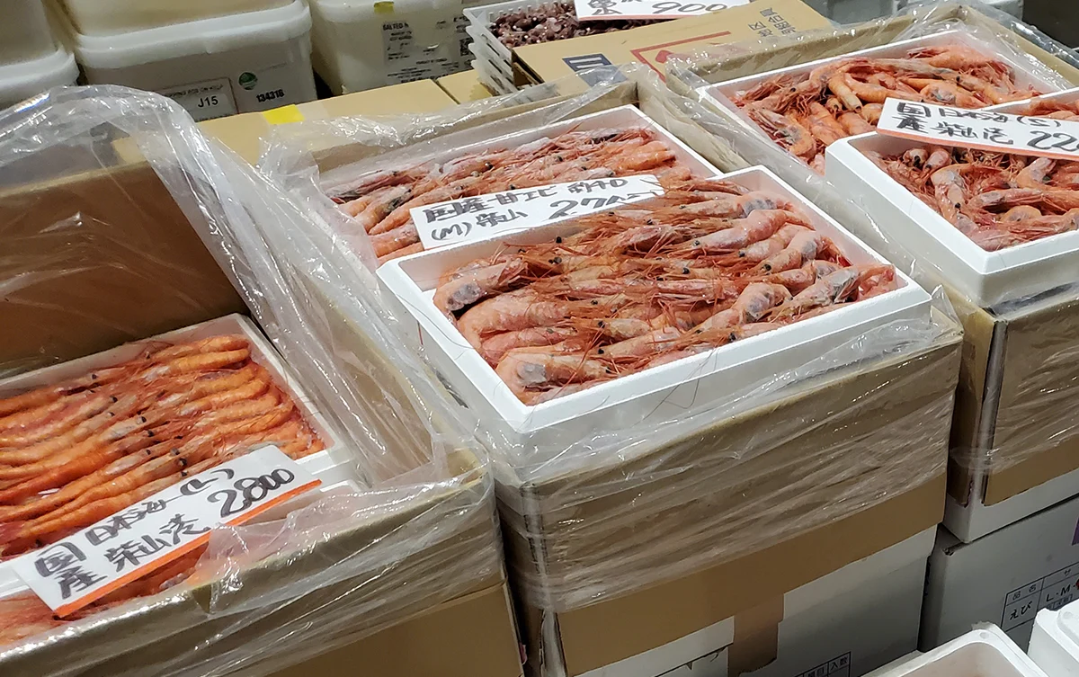 A wide variety of fresh fish and shellfish at the Toyosu Fish Market wholesale area