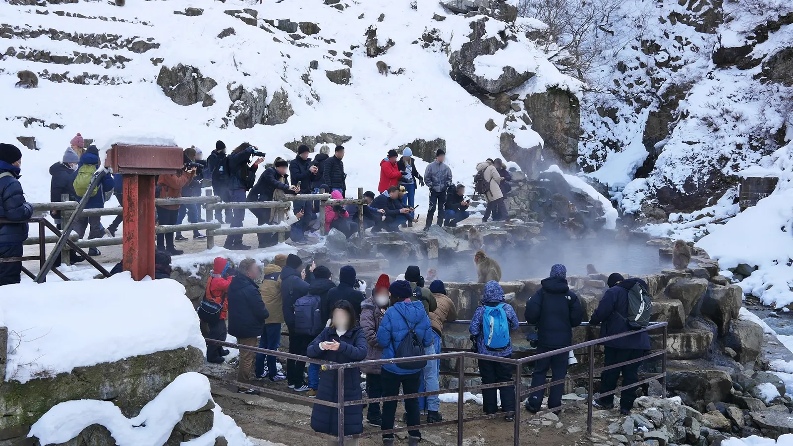 Jigokudani Monley Park
