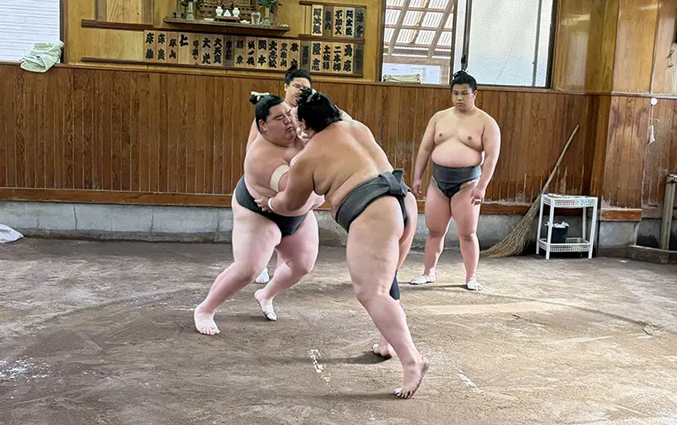 相撲部屋に専用車で