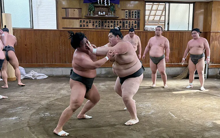 迫力のある朝稽古を見学