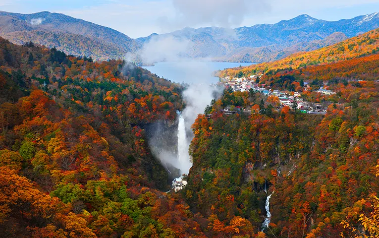 Beautiful Autumn Leaves in Nikko