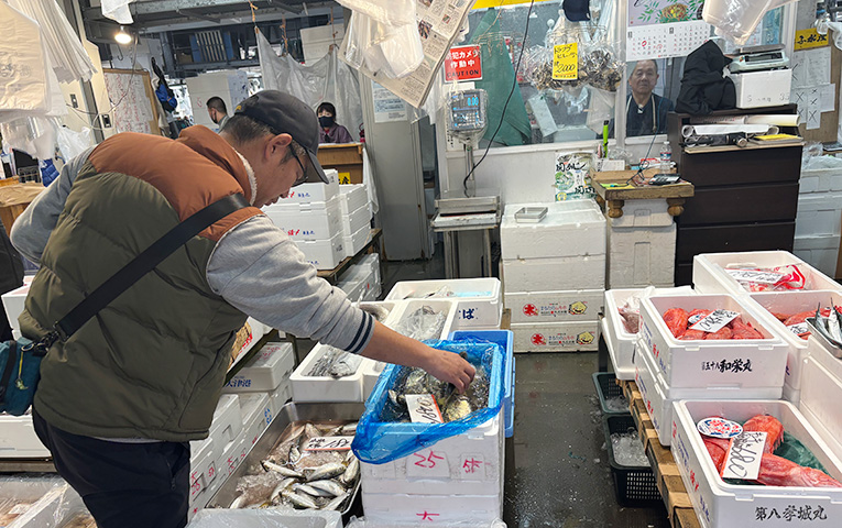 Visit Toyosu fishmarket with Expert