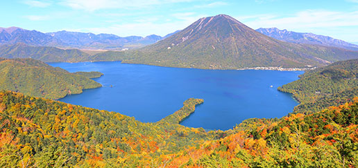 Nikko Tour