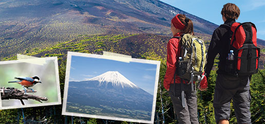 Mt.Fuji Trekking 1 Day Tour Up To The Summit