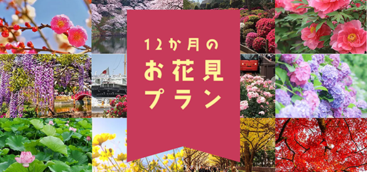 12ヵ月のお花見プラン