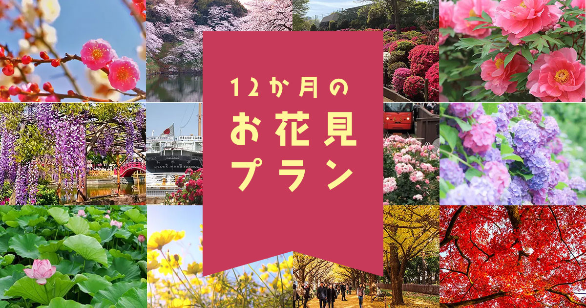 12ヵ月のお花見プラン | 観光ハイヤーのアウテック