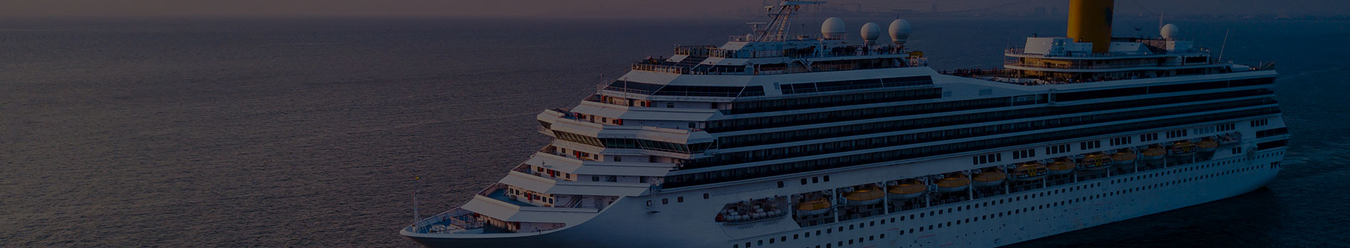 MICE & CRUISEのハンドリング