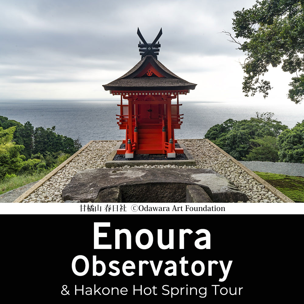 Enoura Observatory and Hakone hot spring Tour