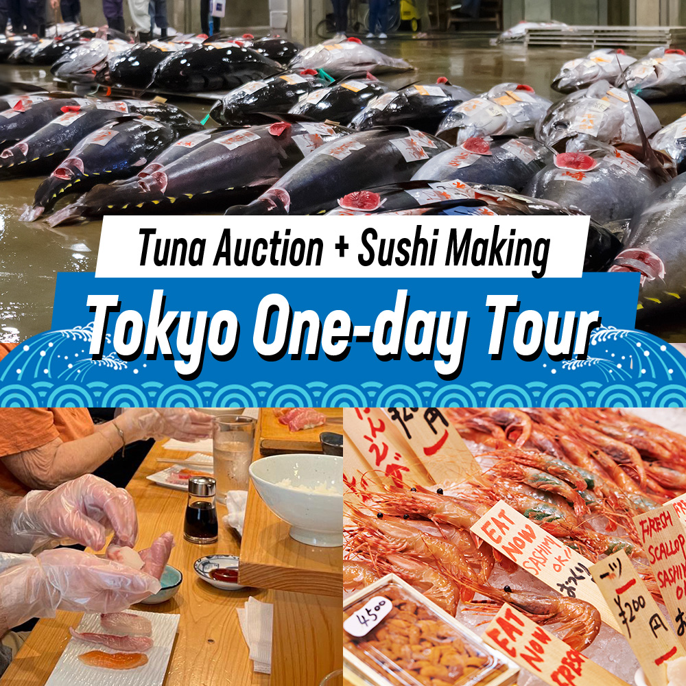 Tuna Auction＋ Sushi Making and Tokyo One-day Tour