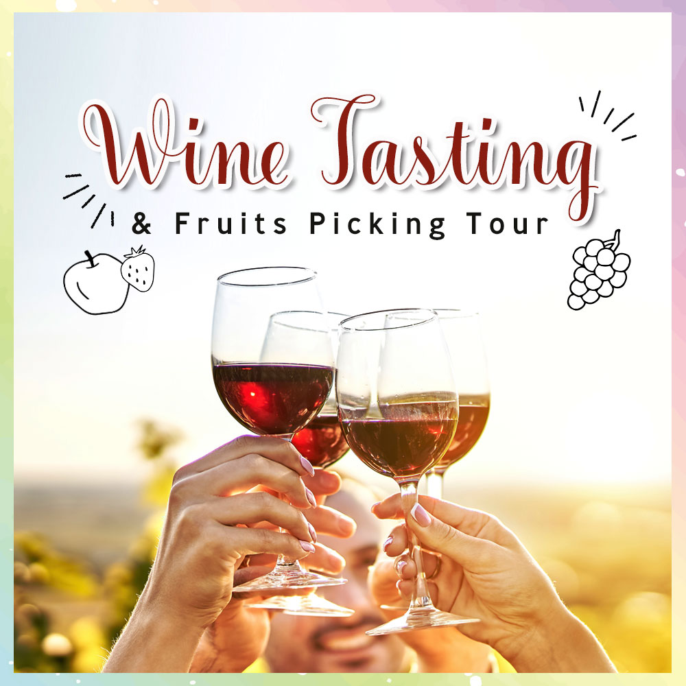 Wine tasting and Fruit picking tour