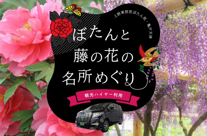 「ぼたんと藤の花の名所めぐり」観光プラン販売