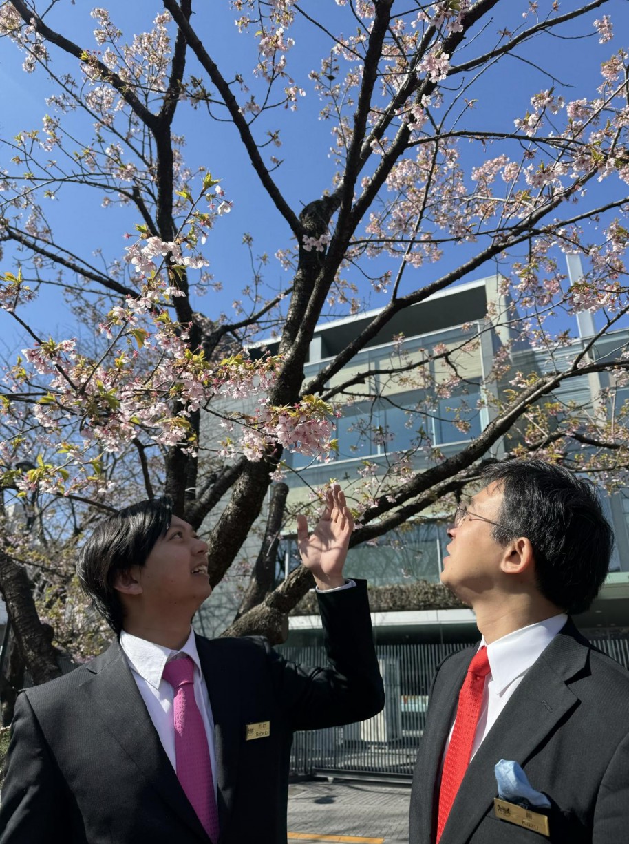 東京の桜研修　第二回目