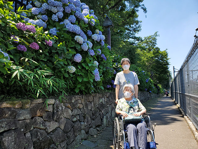 お花見プラン6月紫陽花