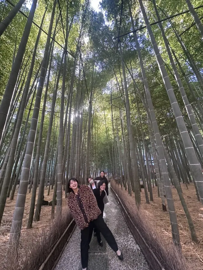 報国寺　竹の庭