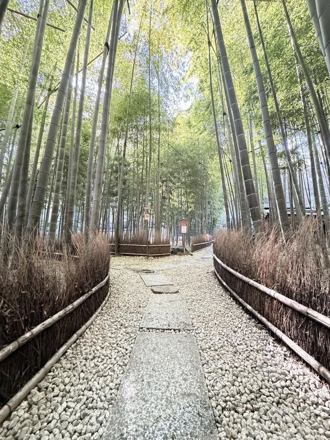 報国寺（竹の寺）