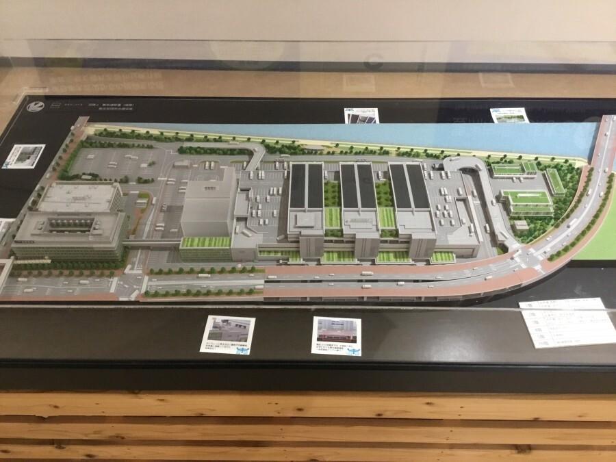 豊洲市場の模型イメージ