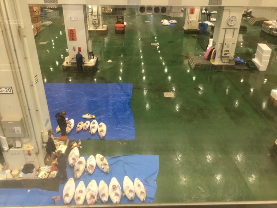 まぐろの競り終了後の風景