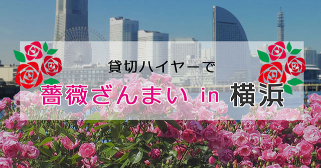 薔薇ざんまい in 横浜！