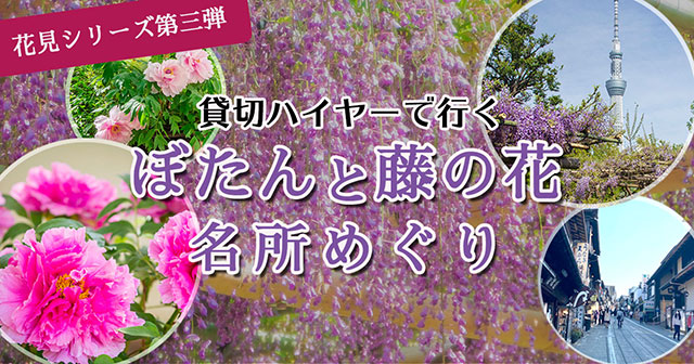 ぼたんと藤の花の名所めぐり