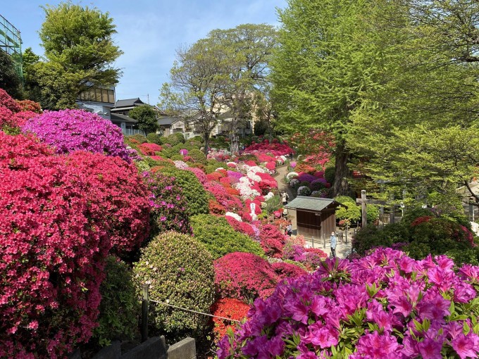 根津神社