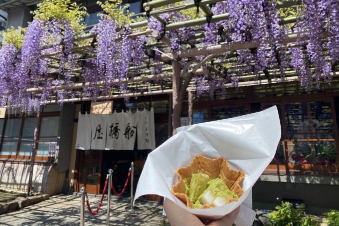 「ぼたんと藤の花の名所めぐり」観光プラン