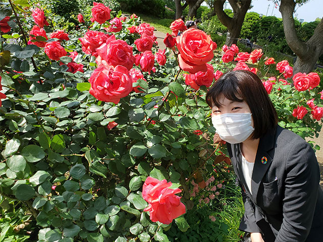 薔薇と横浜をご案内