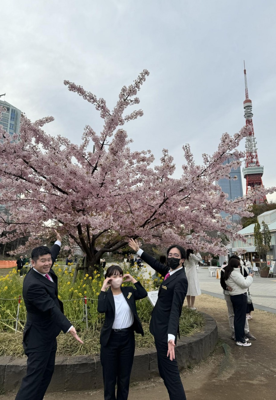 東京タワーと桜