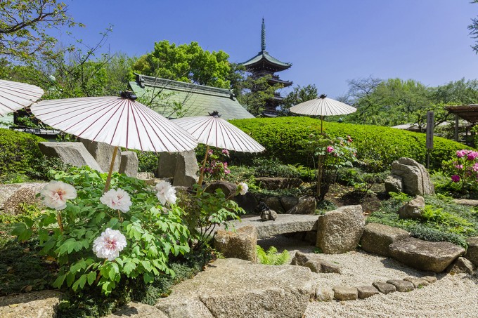 「ぼたんと藤の花の名所めぐり」観光プラン