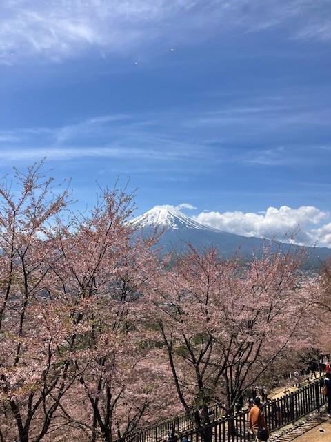 新倉山浅間公園