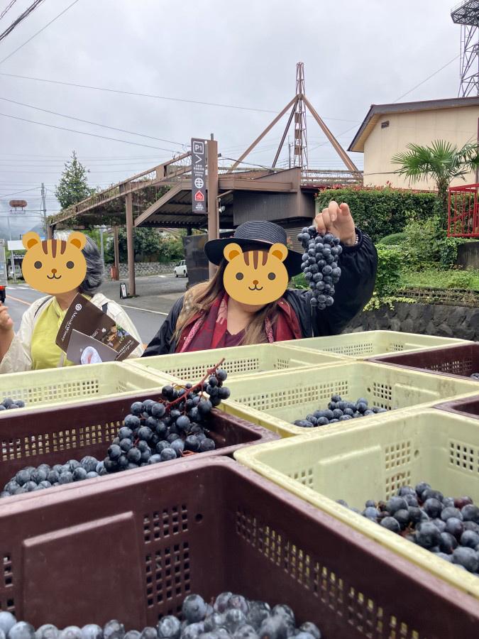 収穫したぶどうを手にもつゲスト