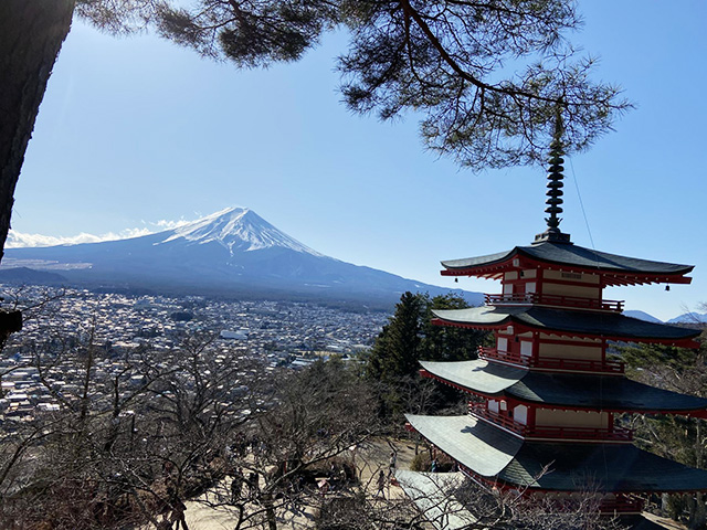 新倉山公園