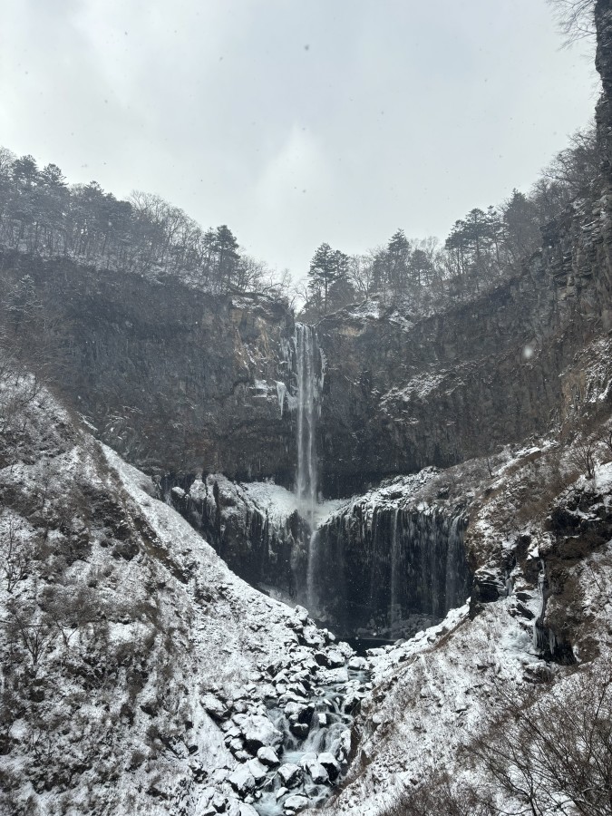 日光は雪