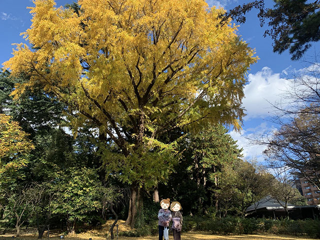 紅葉ツアー