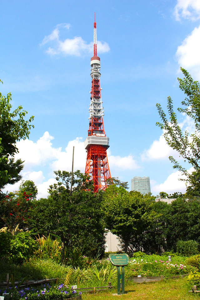 東京タワー