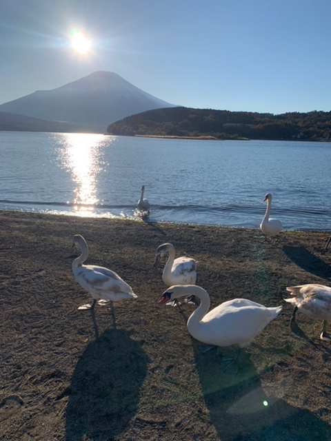 平野の浜