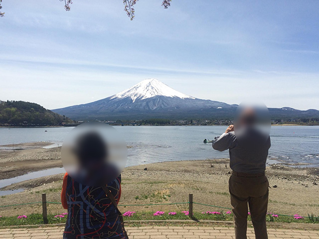 Mt. Fuji Sightseeing