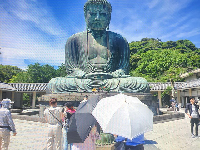 高徳院で大仏鑑賞