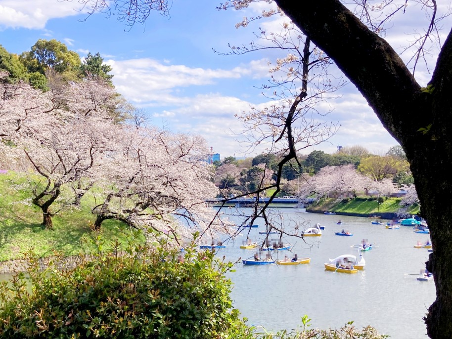 千鳥ヶ淵公園周辺