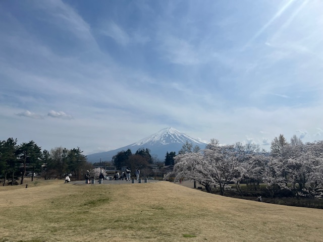 八木埼公園