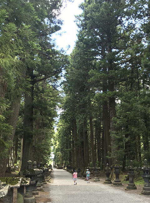 冨士浅間神社